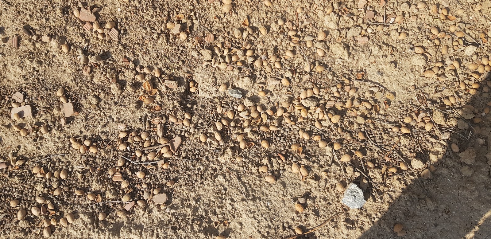 20190908_101943.jpg
