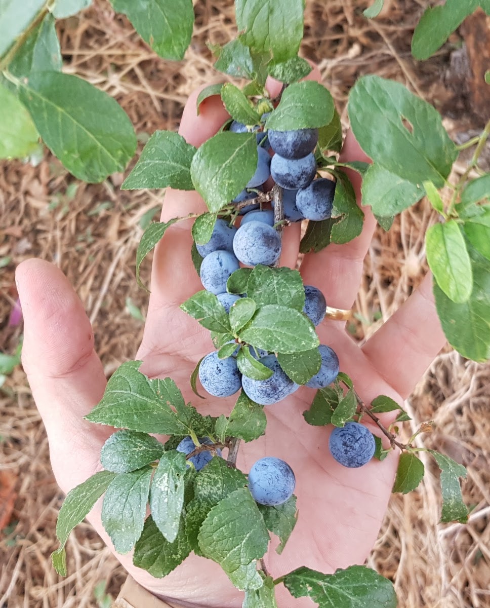20190914_090108.jpg
