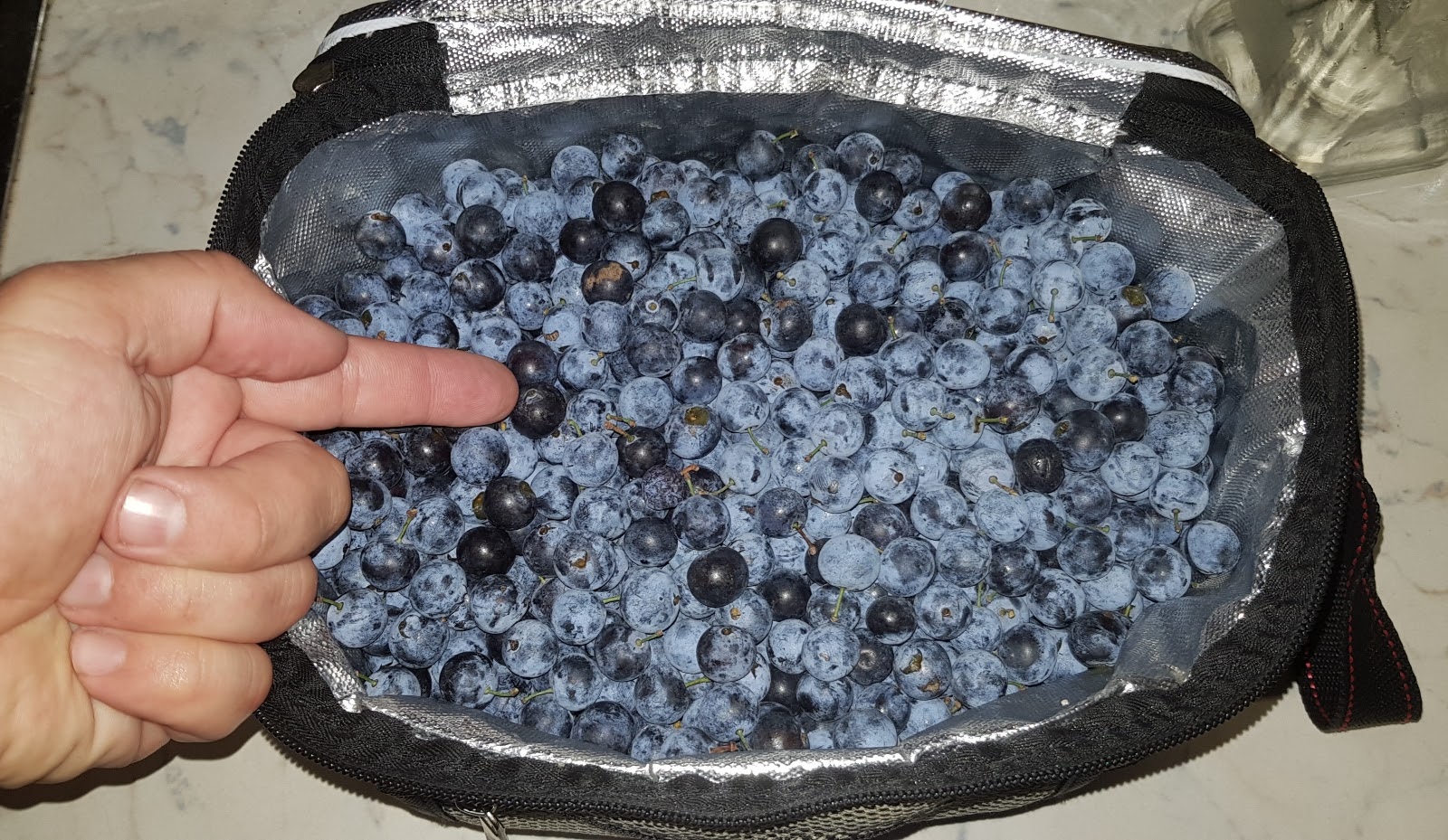 20190914_090401.jpg