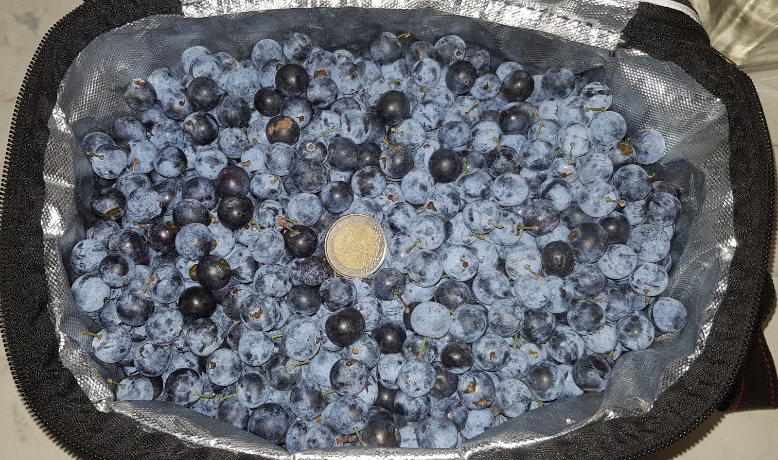 20190914_090426.jpg