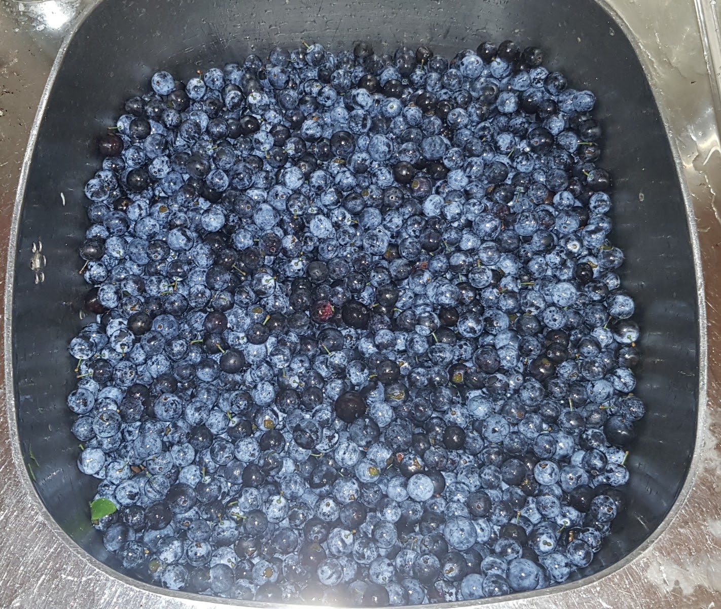 20190914_090454.jpg