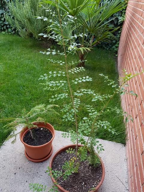 20190918-185038.jpg