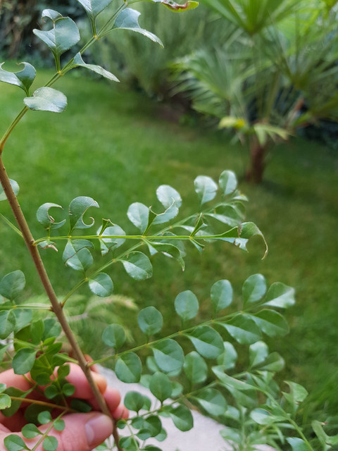 20190918-185101.jpg