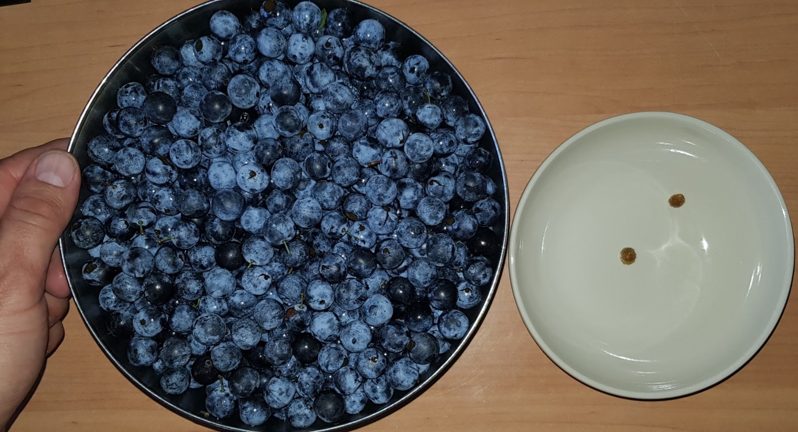 20191002_081845.jpg