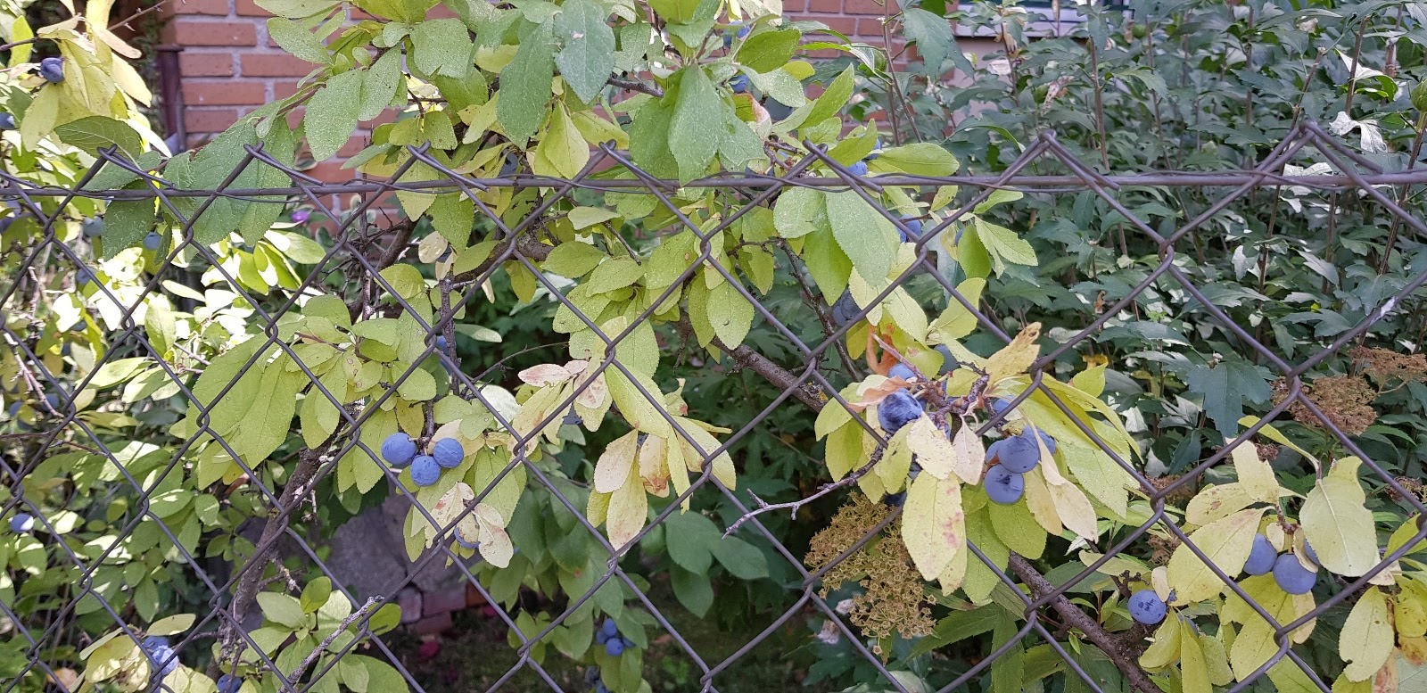 20191002_144220.jpg