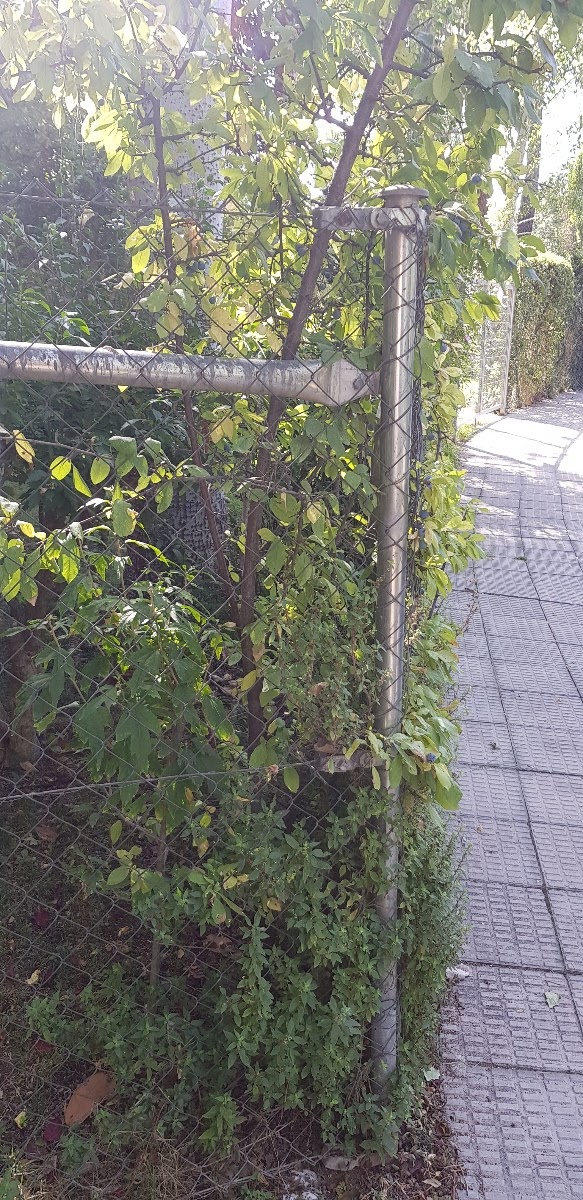 20191002_144241.jpg