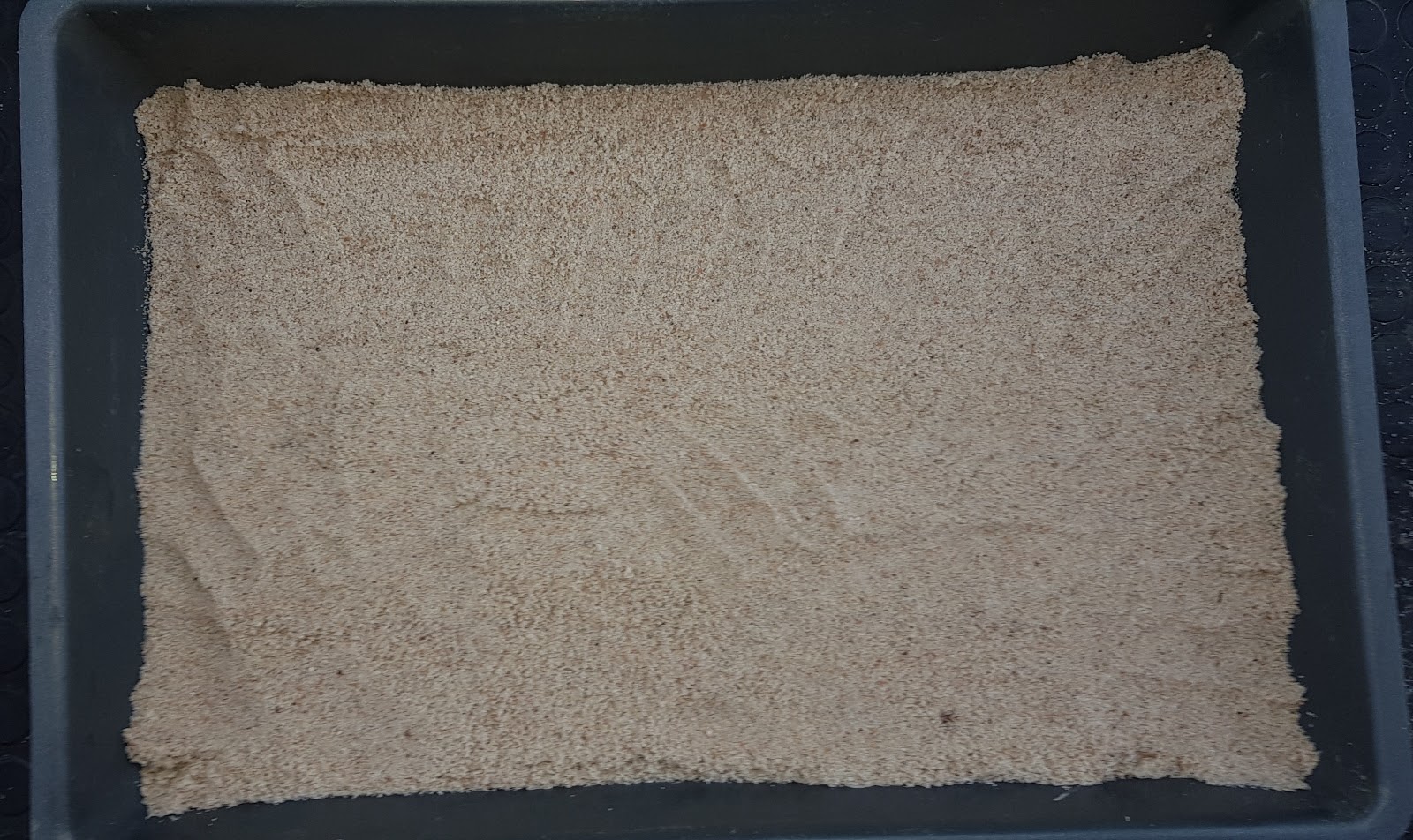 20191003_073653.jpg