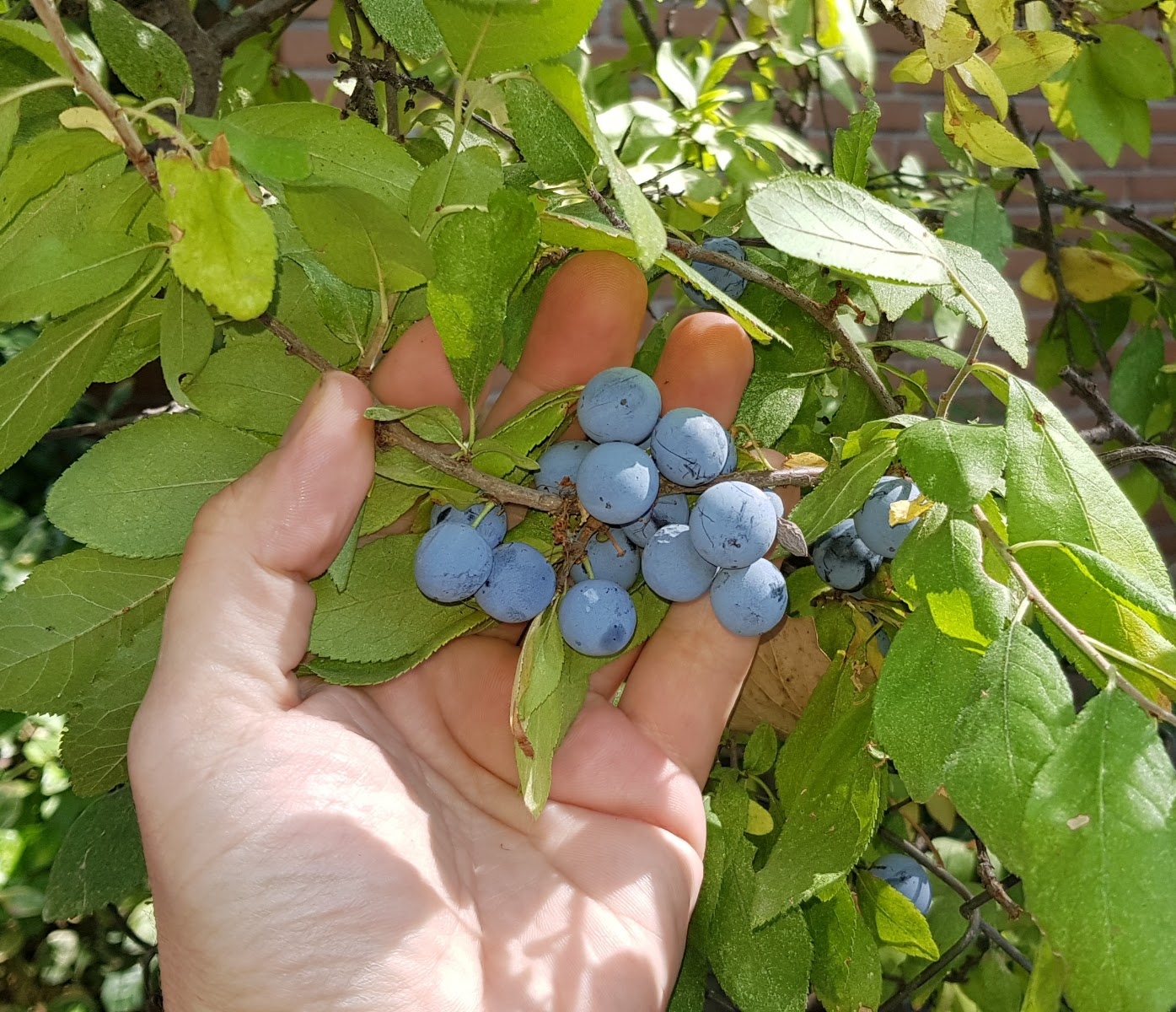 20191003_073744.jpg