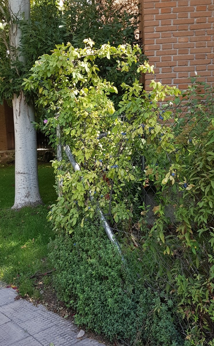 20191003_073836.jpg