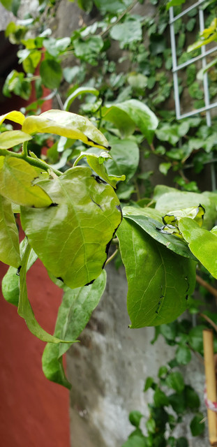 20191004-131517.jpg
