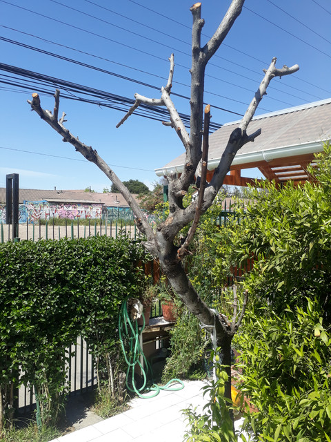 20191006-141811.jpg