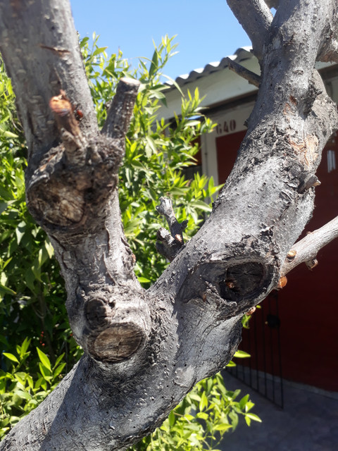 20191006-141818.jpg