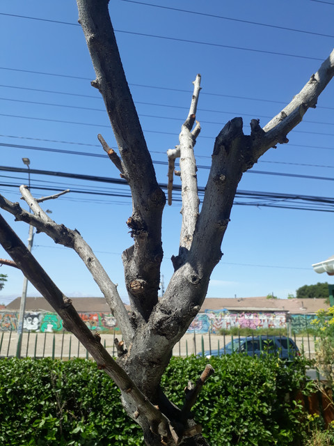 20191006-141827.jpg