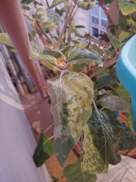 20191009-080145.jpg