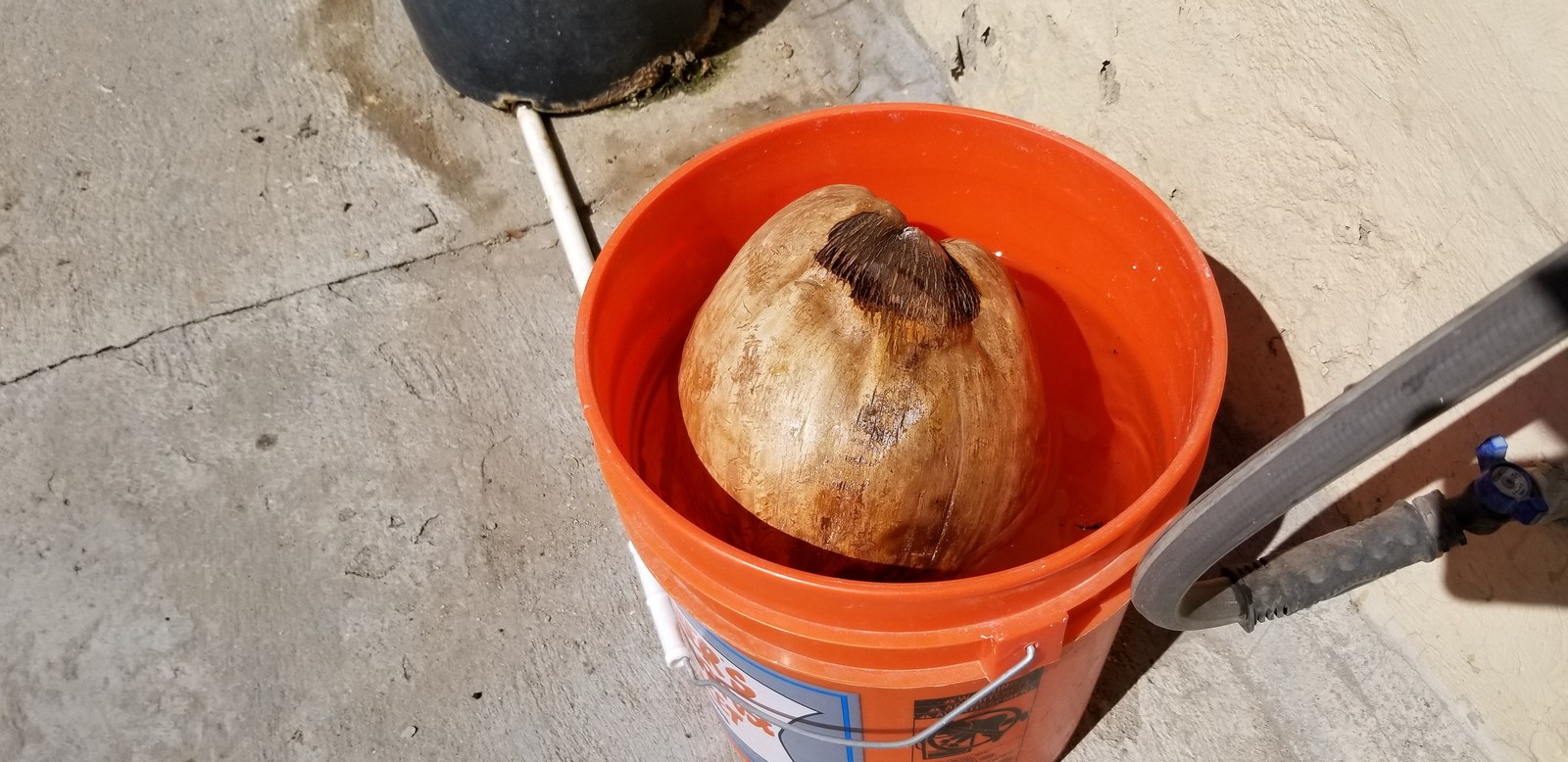 20191012-132721.jpg