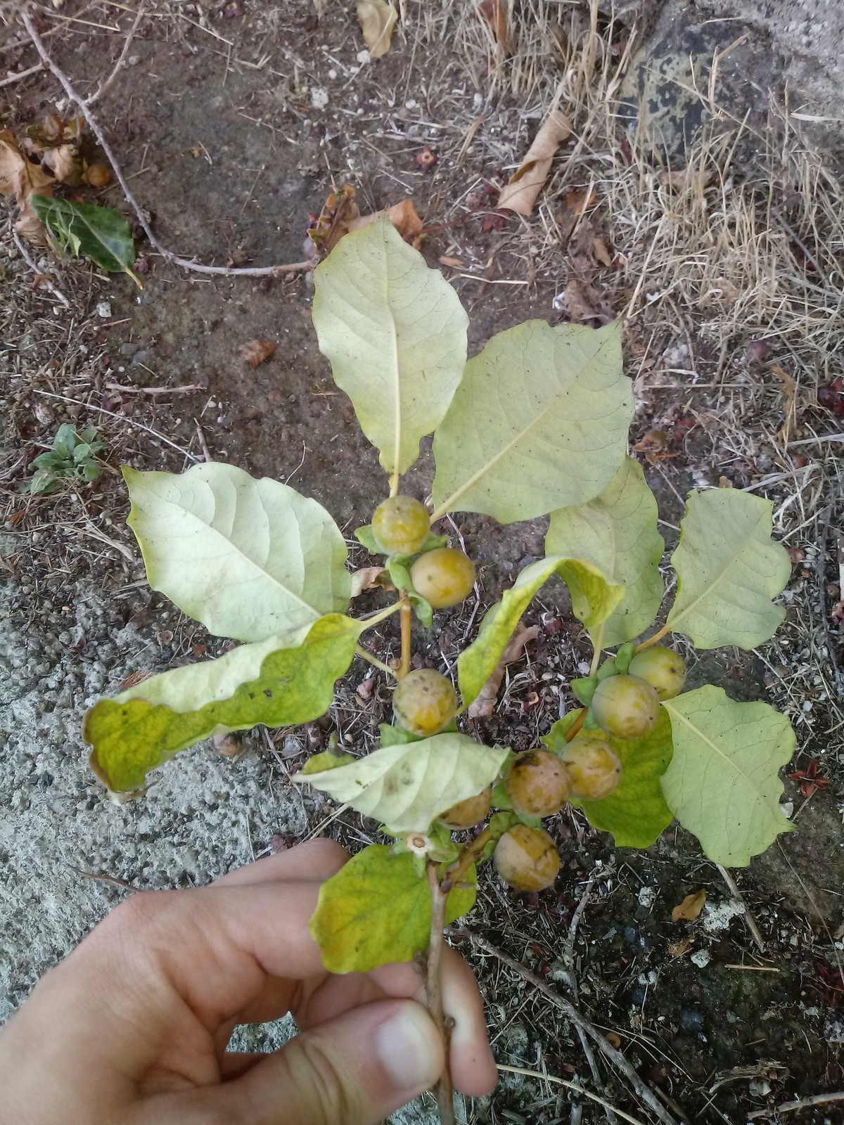 20191017-175526.jpg