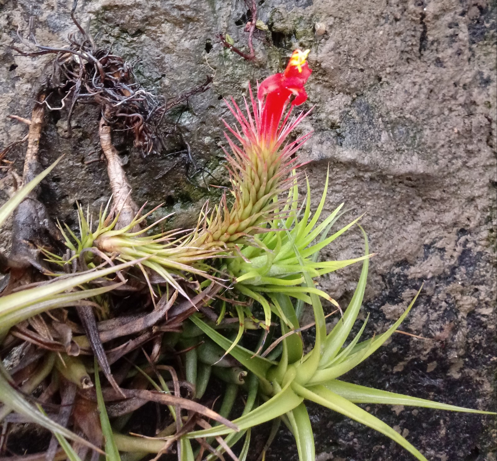 20191026-140533-1.jpg