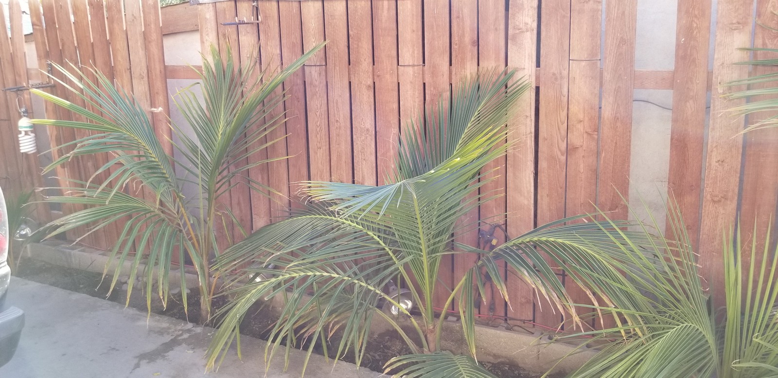 20191026-152846.jpg