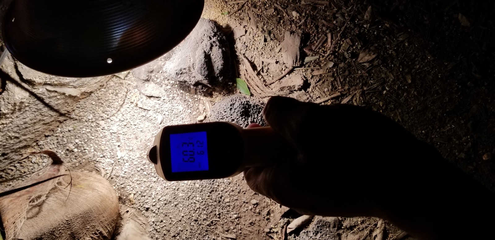 20191030-205124.jpg