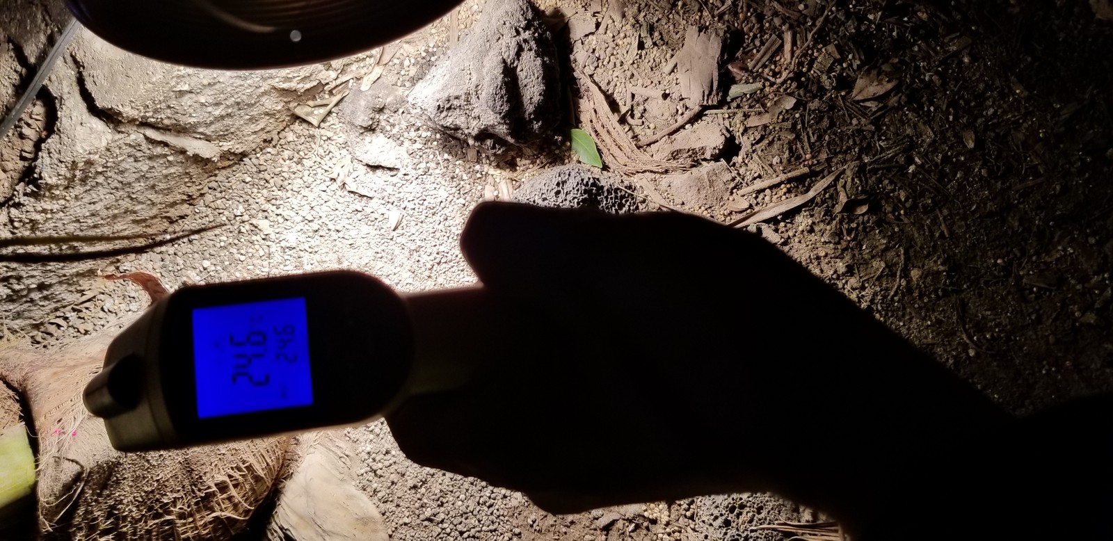 20191030-205134.jpg