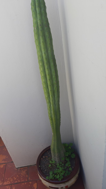 20191031-115310.jpg