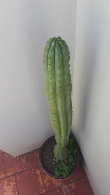 20191031-115314.jpg