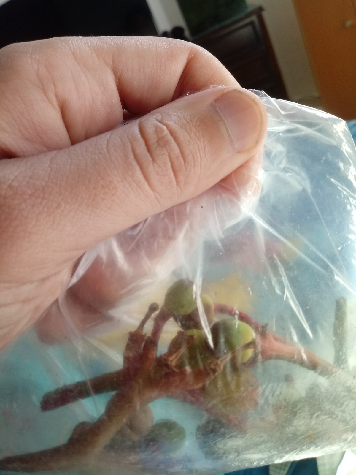 20191031-152406.jpg