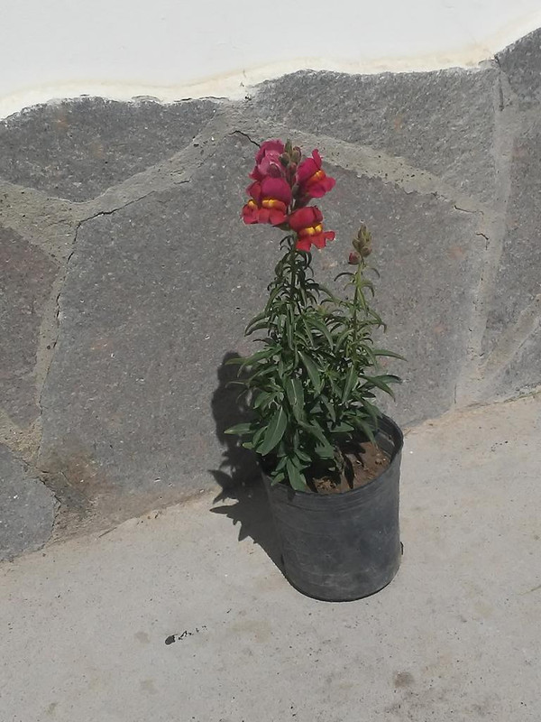 20191102-143354.jpg