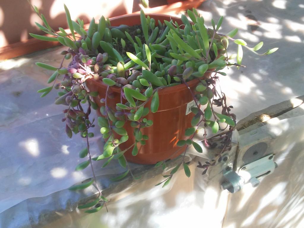 20191102-151150.jpg