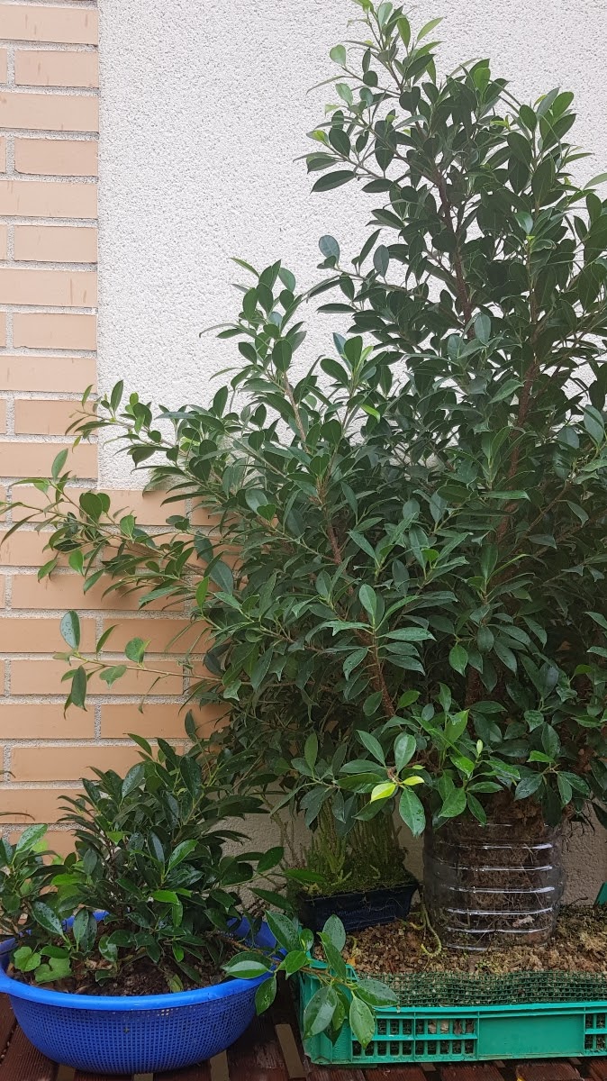 20191104_165611.jpg