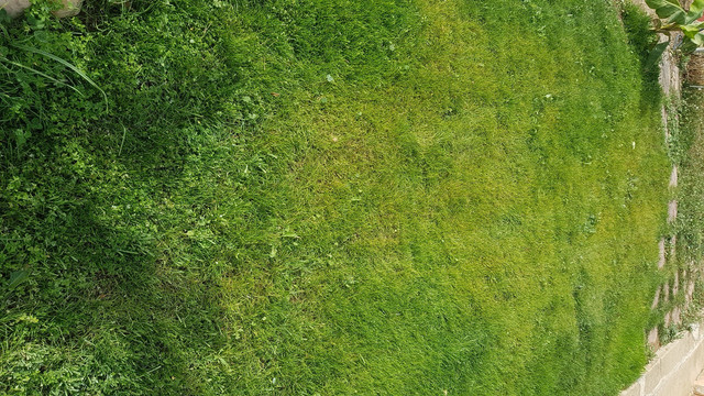 20191111-132000222.jpg