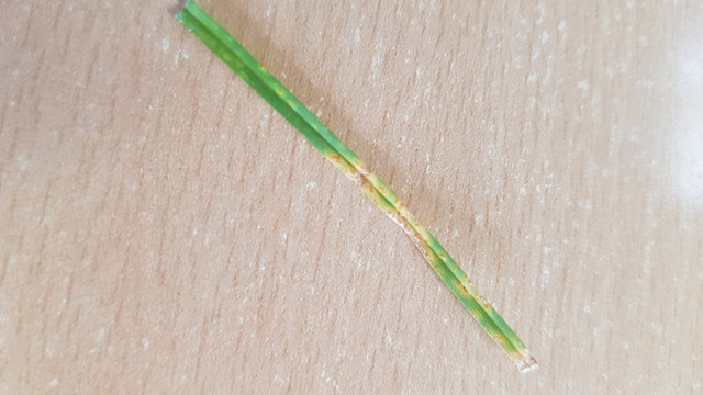 20191111-132340222.jpg