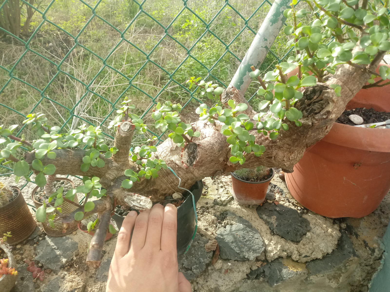 20191114-151205.jpg