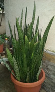 20191125-175655.jpg