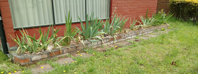 20191128-124859.jpg