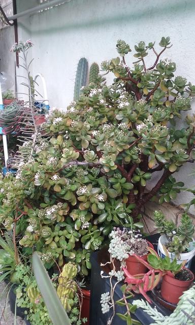20191209-125714.jpg
