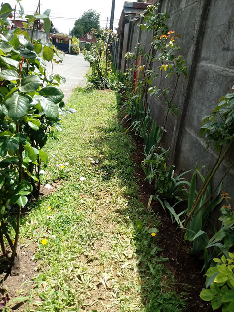 20191211-142037.jpg