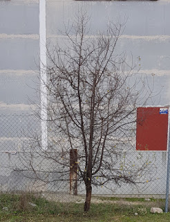20191216_163745.jpg
