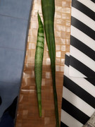 20191221-114943.jpg
