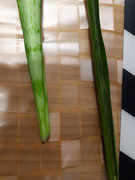 20191221-114947.jpg