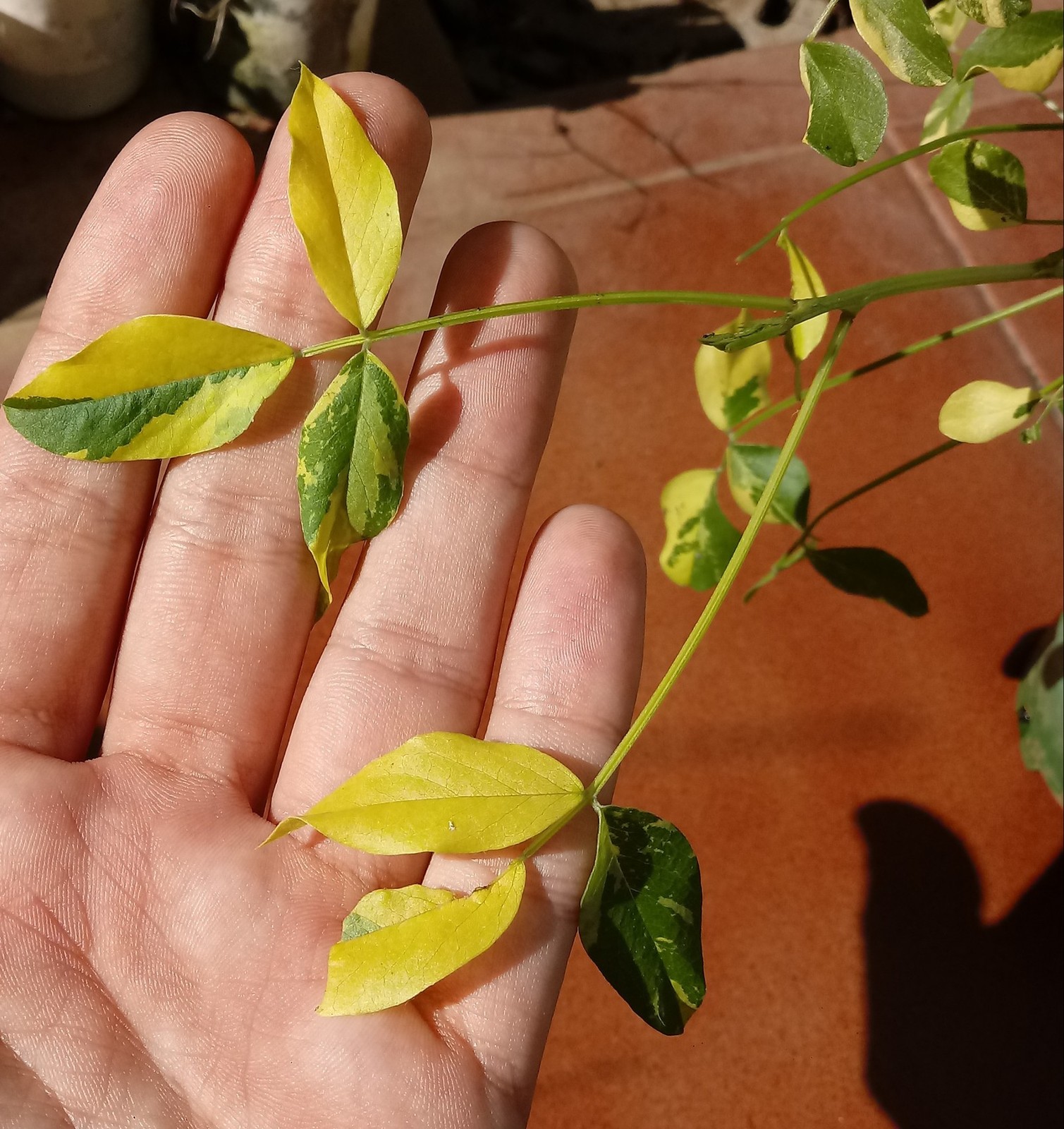20191221-122025-1.jpg