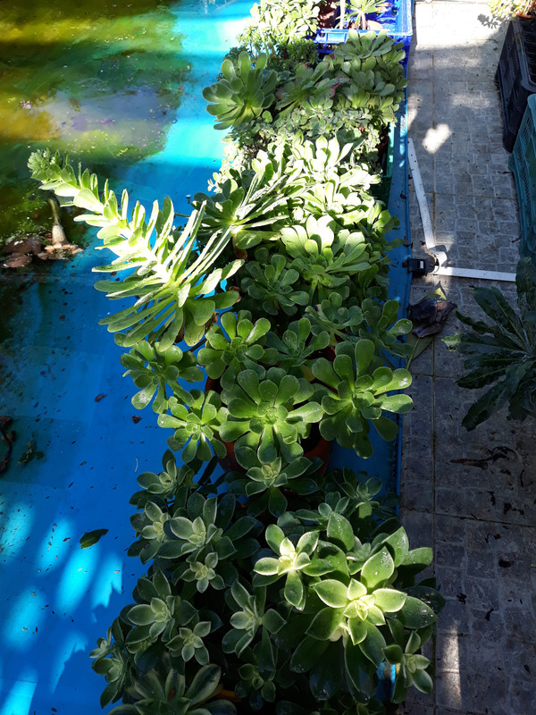 20191222-121835.jpg