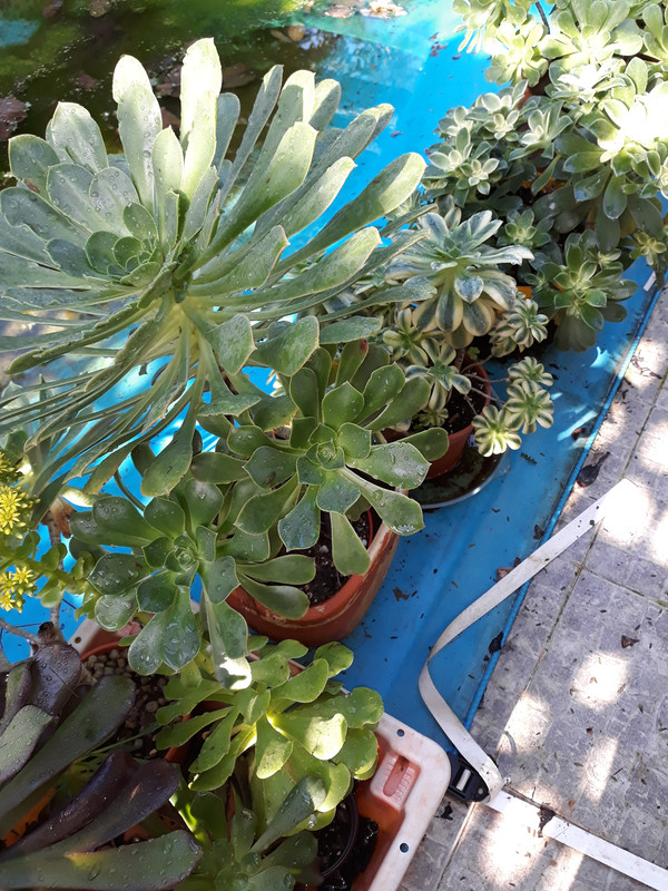 20191222-121849.jpg