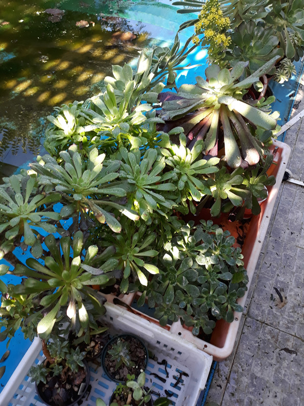 20191222-121903.jpg