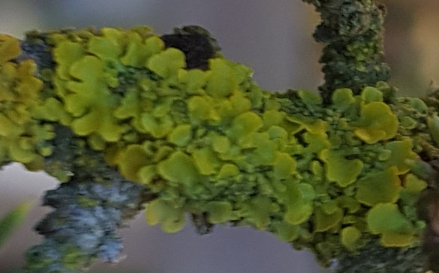 20200219-173819.jpg