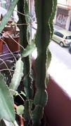20200402-135813.jpg