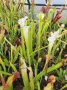 20200912-174316.jpg