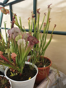 20200914-090505.jpg