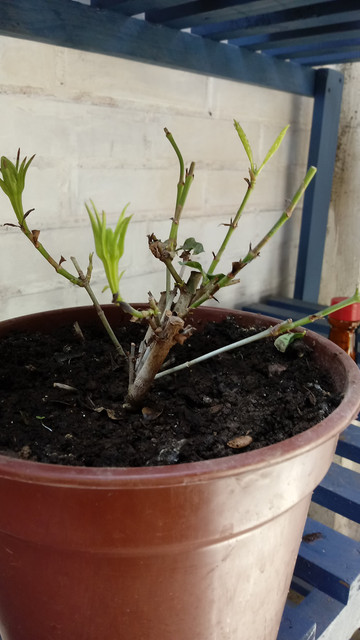20201101-143608.jpg