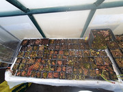 20201101-165445.jpg
